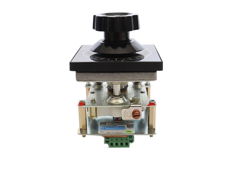 (GESSMAN)速度控制手柄(雙電位器)